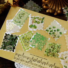 Botanical Plants Washi Sticker Flake BGM Green, Monstera, Leaves, Gold Foil Accent (Washi Tape Material)